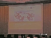 wb-koeln-2009-05.jpg